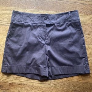 White House Black Market brown shorts, NWT, size 6